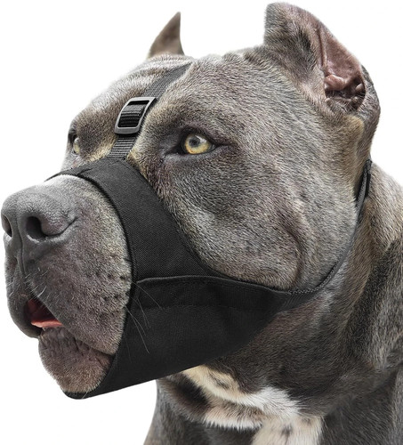 Pitbull museruola - museruola,,