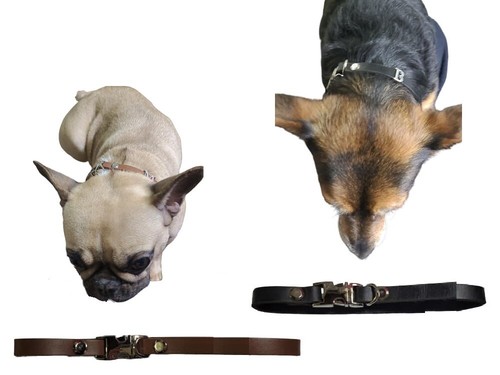 Collare cuoio per cani gatti - collare,