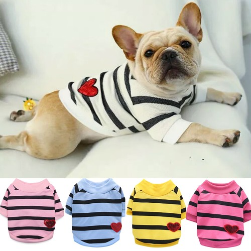 Cappotto maglione gatto