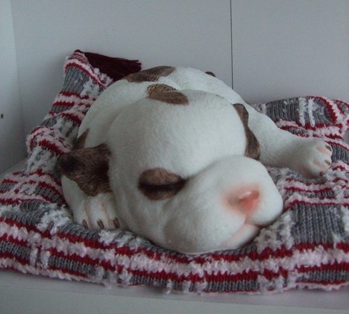Bulldog puppy cushion best - cushion,