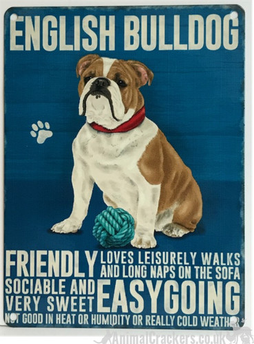 English bulldog metal - english, sign