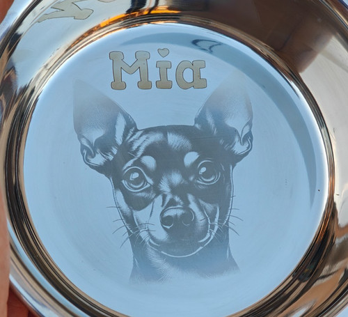 Ciotola per cani nome foto - cani,