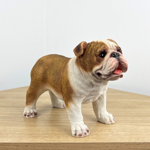 Statua bulldog ornamento - statua,