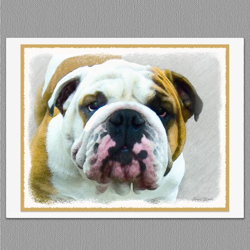 Biglietti auguri bulldog - biglietti,