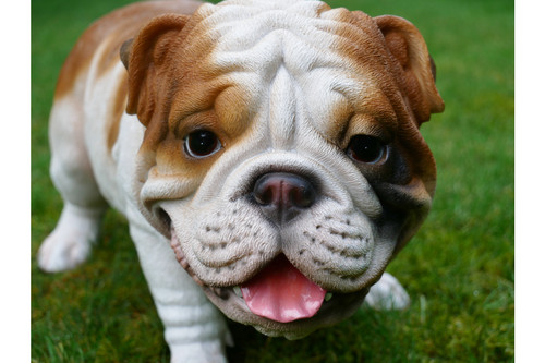Grande ornamento bulldog - grande,
