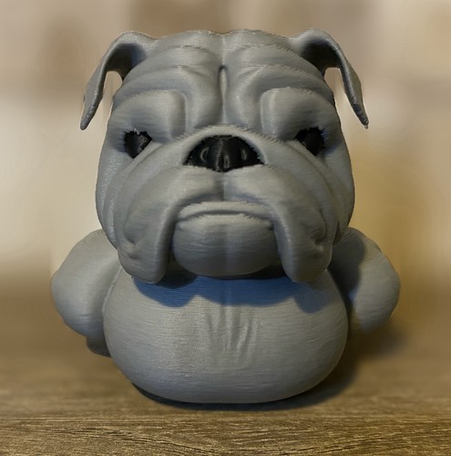 Bulldog duck - bulldog,