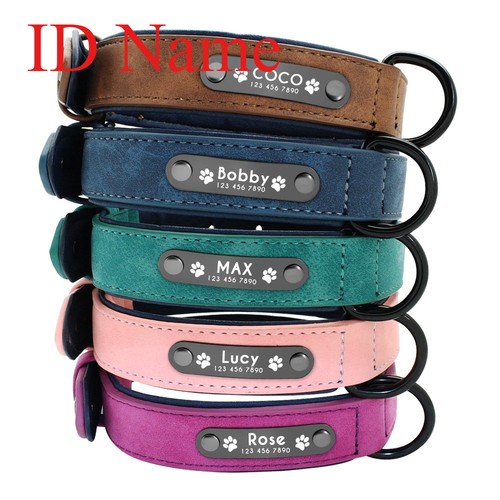 Collare cane personalizzato - ,