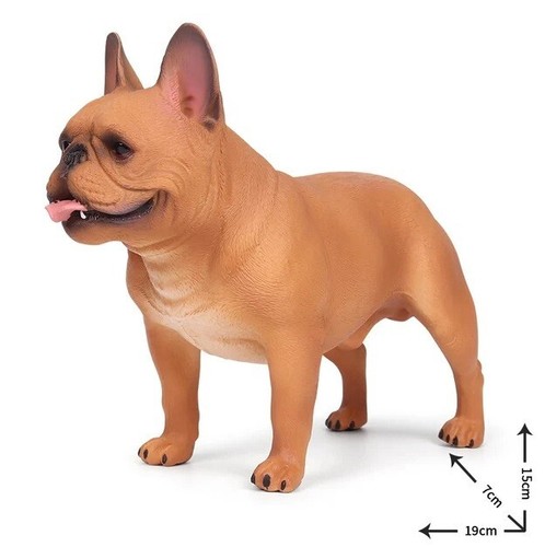 Bulldog arancione cane - , animale