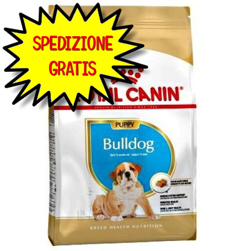 Royal canin cane bulldog - cane,