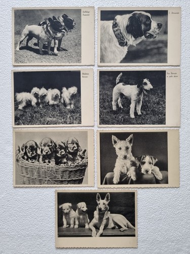Cartoline cani bulldog - 7,