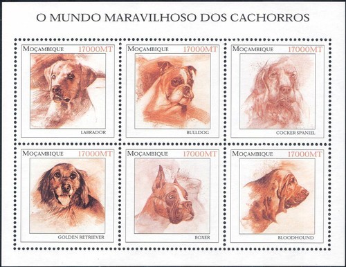 Mozambico 2002