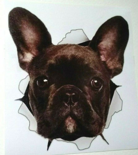 Adesivo frigo vinile - , bulldog