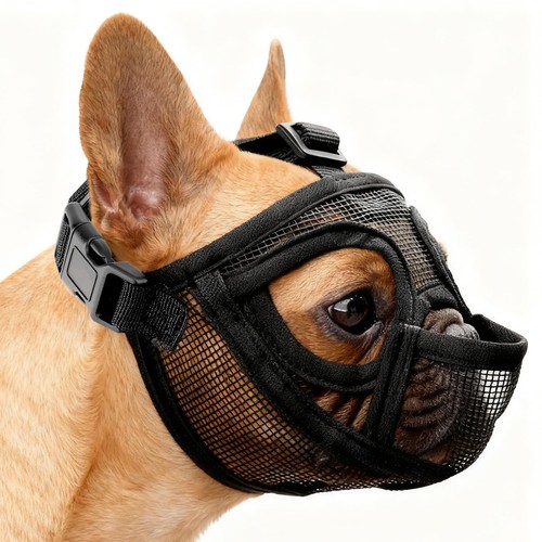 Museruola bulldog francese - museruola,