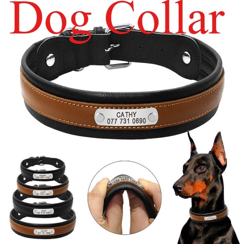 Collare per cani - collare,