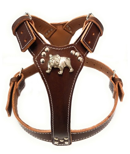 Bulldog imbracatura per cani - bulldog,