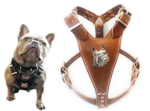 Imbracatura per cani - , in