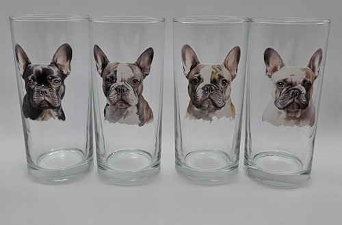 French bulldog dog - french,