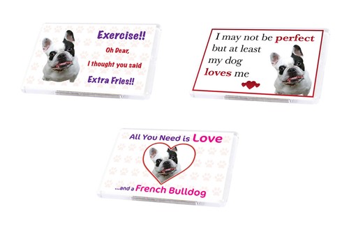 Funny dog french bulldog - funny,