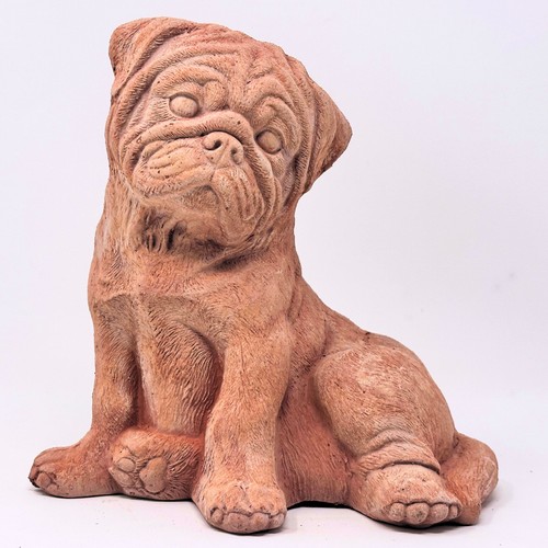 Toocook cane bulldog - toocook,