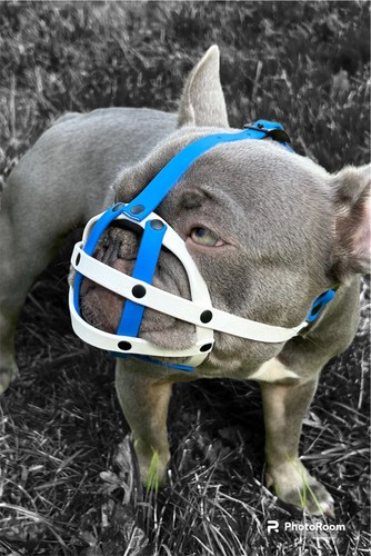 Museruola per cani - , biothane