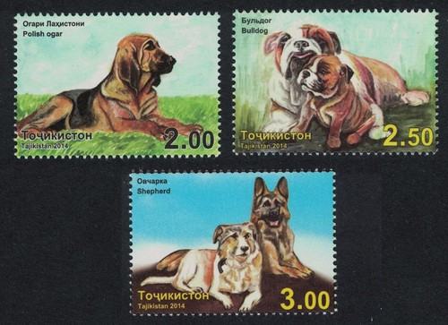 Bulldog pastore ogar - ogar, cani